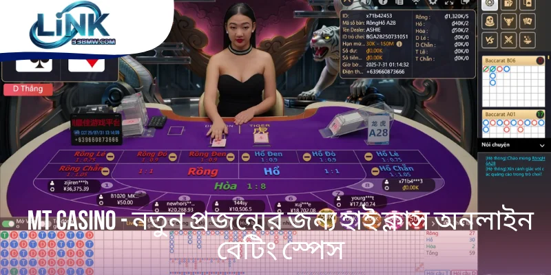 MT Casino - নতুন প্রজন্মের জন্য হাই ক্লাস অনলাইন বেটিং স্পেস