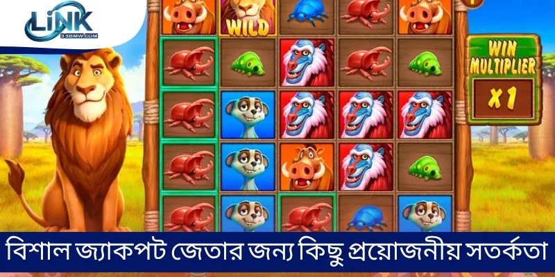 বিশাল জ্যাকপট জেতার জন্য কিছু প্রয়োজনীয় সতর্কতা