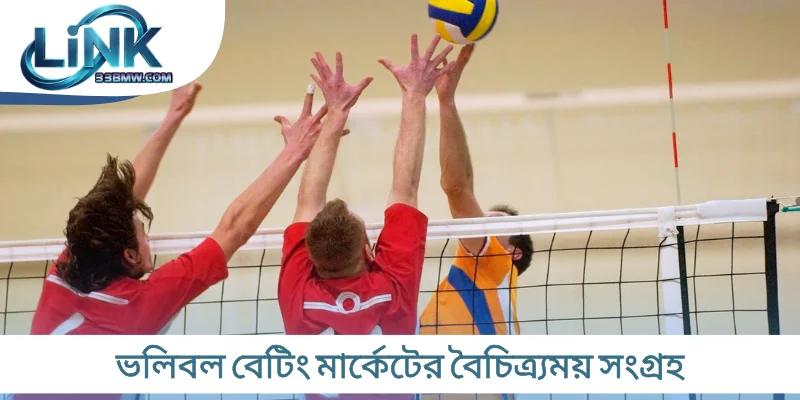ভলিবল বেটিং মার্কেটের বৈচিত্র্যময় সংগ্রহ 